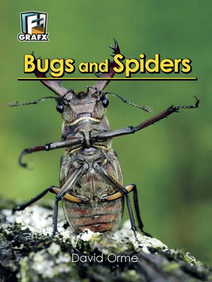 cover image of Bugs and Spiders
